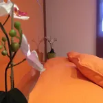 布鲁天堂科斯塔阿德公寓 - 带温水游泳池 *